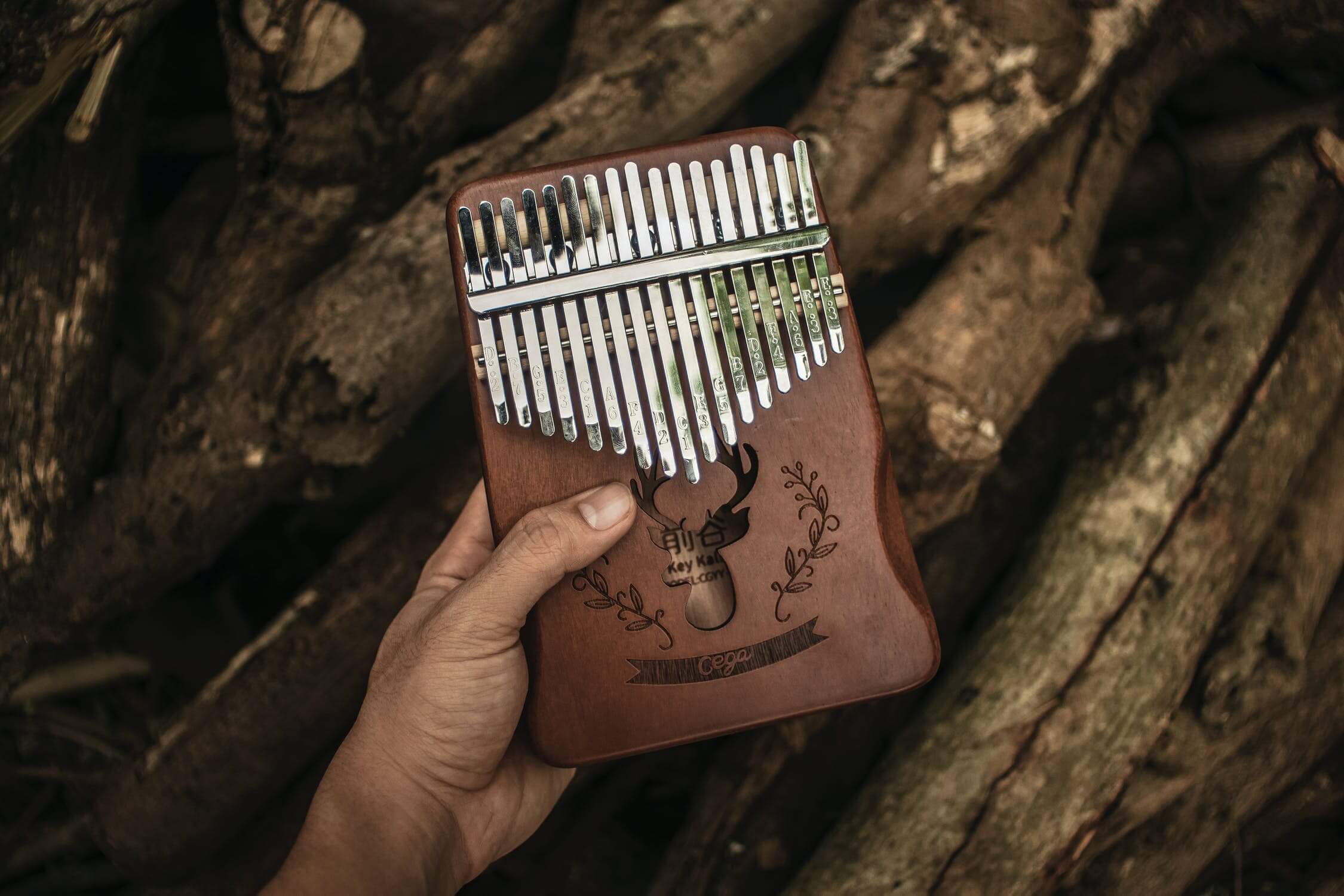 A Beginner's Guide to the Kalimba Instrument